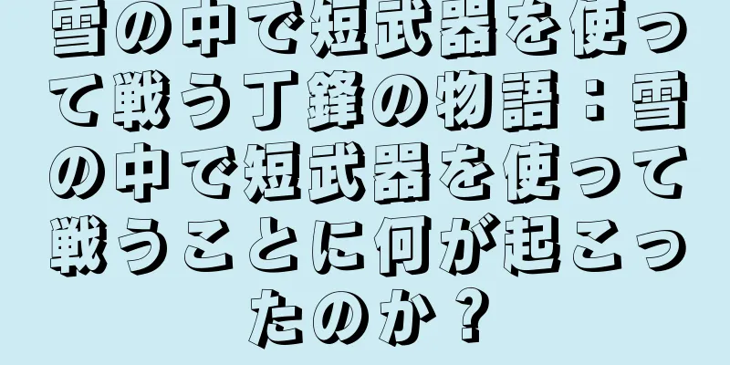雪の中で短武器を使って戦う丁鋒の物語：雪の中で短武器を使って戦うことに何が起こったのか？