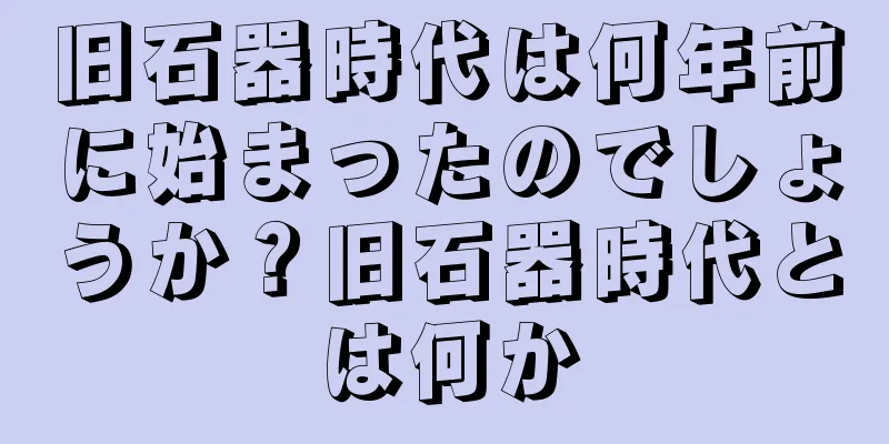 旧石器時代は何年前に始まったのでしょうか？旧石器時代とは何か