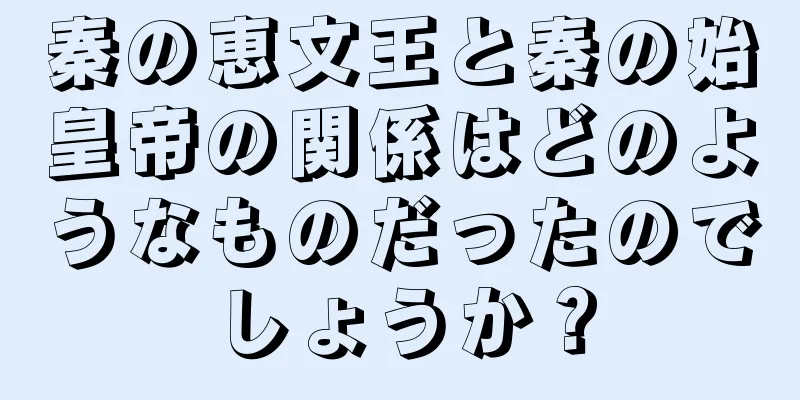 秦の恵文王と秦の始皇帝の関係はどのようなものだったのでしょうか？