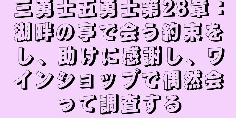 三勇士五勇士第28章：湖畔の亭で会う約束をし、助けに感謝し、ワインショップで偶然会って調査する