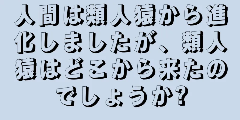 人間は類人猿から進化しましたが、類人猿はどこから来たのでしょうか?