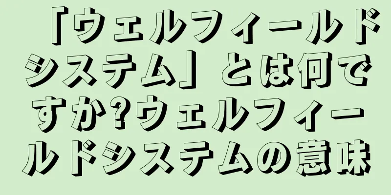「ウェルフィールドシステム」とは何ですか?ウェルフィールドシステムの意味