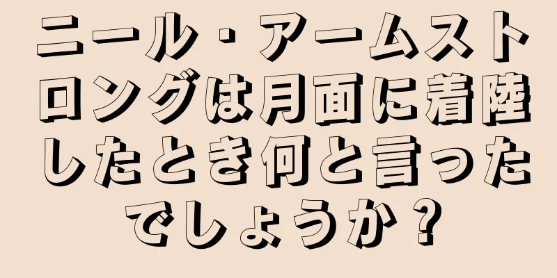 ニール・アームストロングは月面に着陸したとき何と言ったでしょうか？