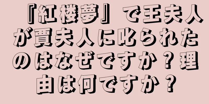 『紅楼夢』で王夫人が賈夫人に叱られたのはなぜですか？理由は何ですか？
