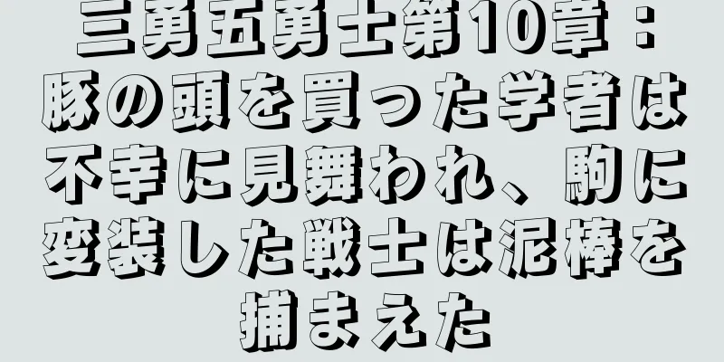 三勇五勇士第10章：豚の頭を買った学者は不幸に見舞われ、駒に変装した戦士は泥棒を捕まえた