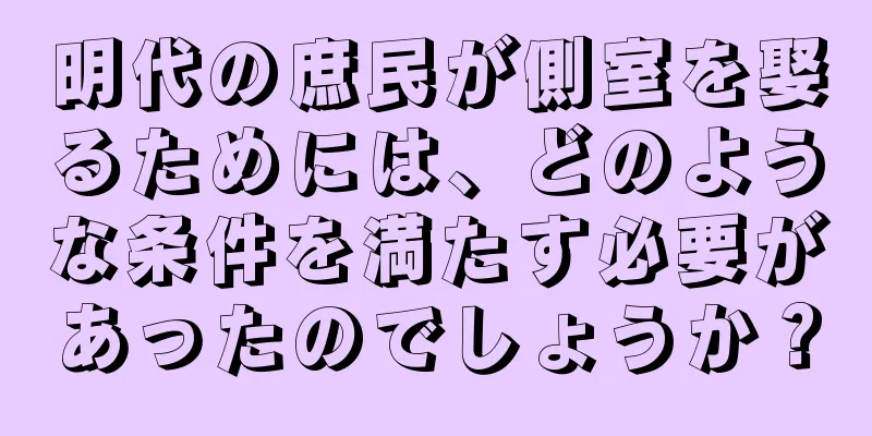 明代の庶民が側室を娶るためには、どのような条件を満たす必要があったのでしょうか？