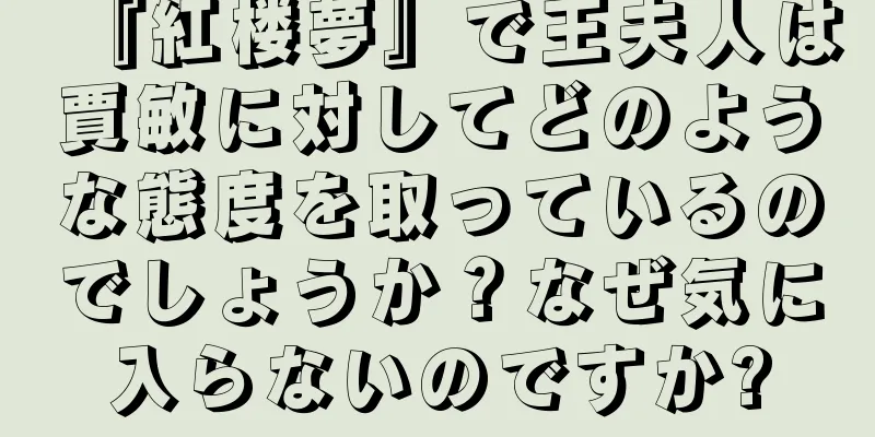 『紅楼夢』で王夫人は賈敏に対してどのような態度を取っているのでしょうか？なぜ気に入らないのですか?