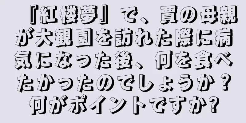 『紅楼夢』で、賈の母親が大観園を訪れた際に病気になった後、何を食べたかったのでしょうか？何がポイントですか?