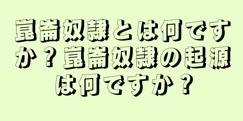 崑崙奴隷とは何ですか？崑崙奴隷の起源は何ですか？