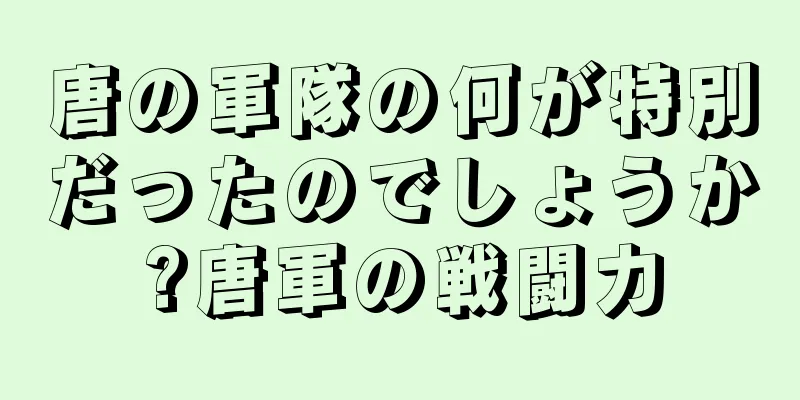 唐の軍隊の何が特別だったのでしょうか?唐軍の戦闘力