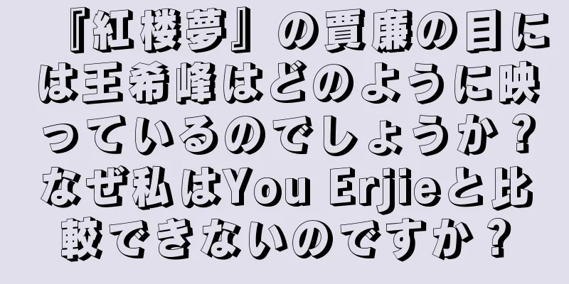『紅楼夢』の賈廉の目には王希峰はどのように映っているのでしょうか？なぜ私はYou Erjieと比較できないのですか？
