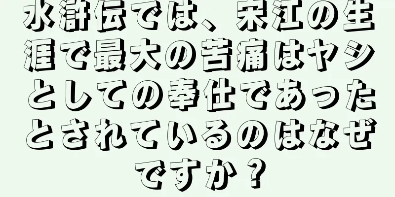 水滸伝では、宋江の生涯で最大の苦痛はヤシとしての奉仕であったとされているのはなぜですか？