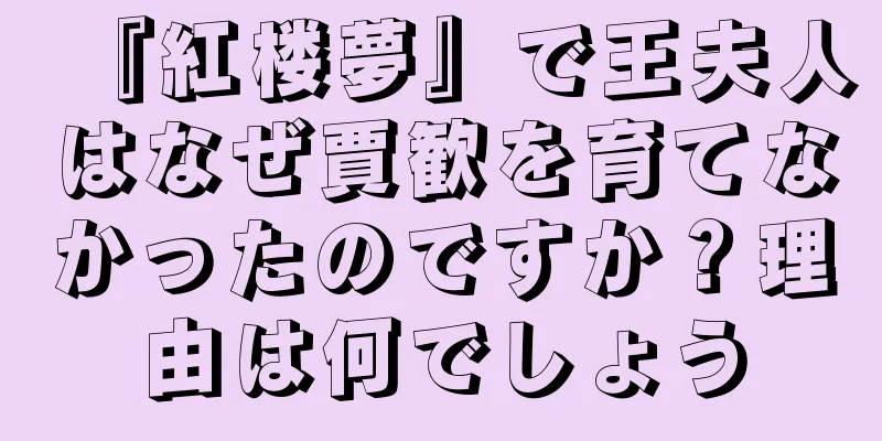 『紅楼夢』で王夫人はなぜ賈歓を育てなかったのですか？理由は何でしょう