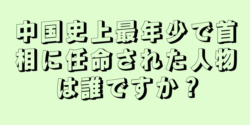 中国史上最年少で首相に任命された人物は誰ですか？