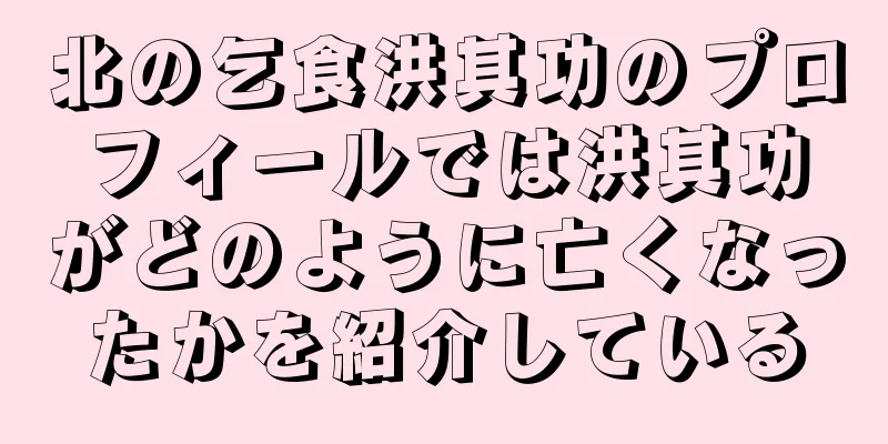北の乞食洪其功のプロフィールでは洪其功がどのように亡くなったかを紹介している