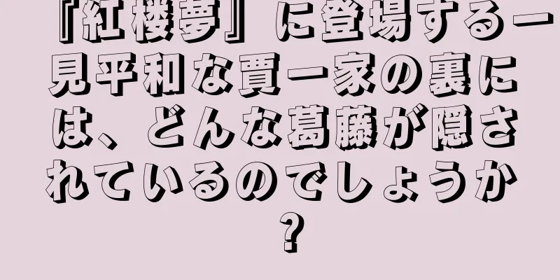 『紅楼夢』に登場する一見平和な賈一家の裏には、どんな葛藤が隠されているのでしょうか？