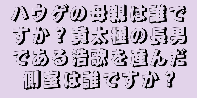 ハウゲの母親は誰ですか？黄太極の長男である浩歌を産んだ側室は誰ですか？