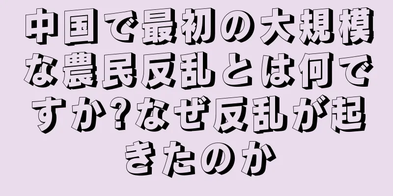 中国で最初の大規模な農民反乱とは何ですか?なぜ反乱が起きたのか