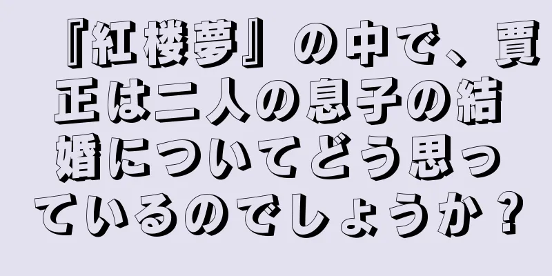 『紅楼夢』の中で、賈正は二人の息子の結婚についてどう思っているのでしょうか？