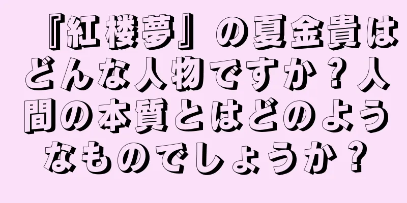 『紅楼夢』の夏金貴はどんな人物ですか？人間の本質とはどのようなものでしょうか？