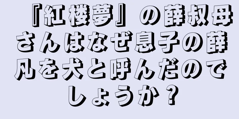 『紅楼夢』の薛叔母さんはなぜ息子の薛凡を犬と呼んだのでしょうか？