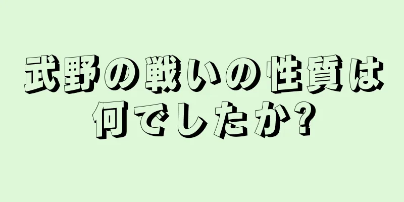 武野の戦いの性質は何でしたか?