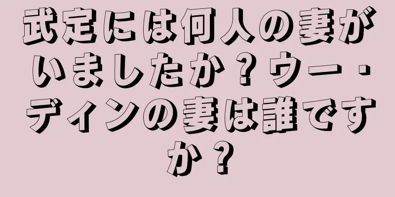 武定には何人の妻がいましたか？ウー・ディンの妻は誰ですか？