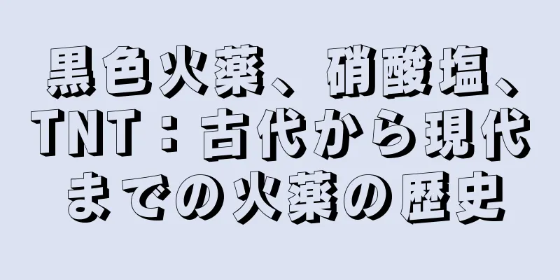 黒色火薬、硝酸塩、TNT：古代から現代までの火薬の歴史