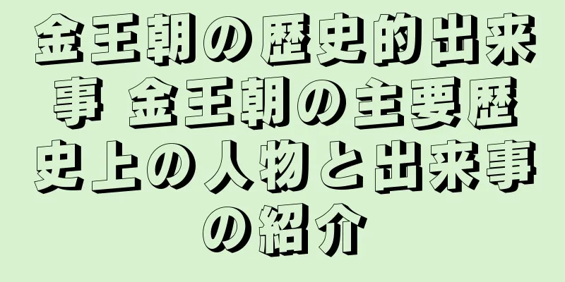 金王朝の歴史的出来事 金王朝の主要歴史上の人物と出来事の紹介