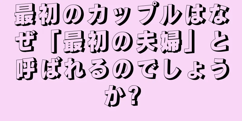 最初のカップルはなぜ「最初の夫婦」と呼ばれるのでしょうか?