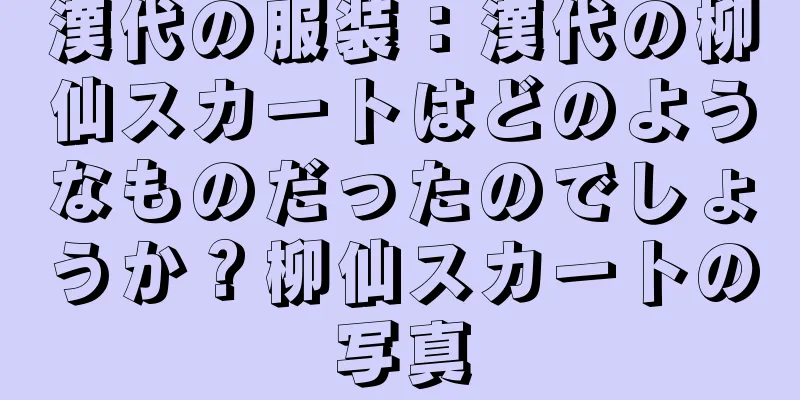 漢代の服装：漢代の柳仙スカートはどのようなものだったのでしょうか？柳仙スカートの写真