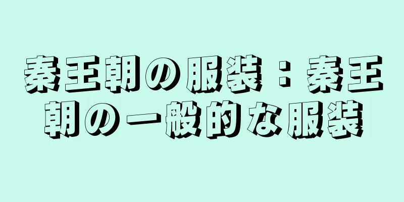 秦王朝の服装：秦王朝の一般的な服装