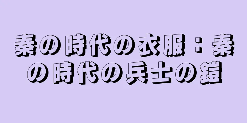 秦の時代の衣服：秦の時代の兵士の鎧