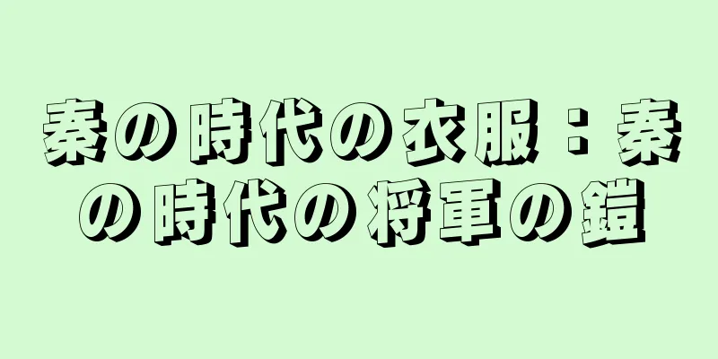 秦の時代の衣服：秦の時代の将軍の鎧