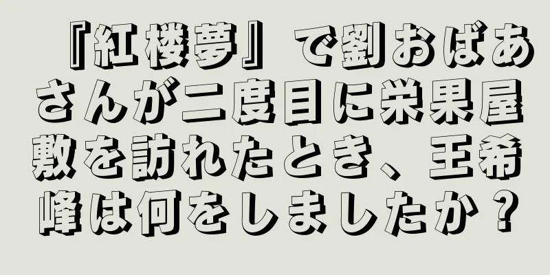 『紅楼夢』で劉おばあさんが二度目に栄果屋敷を訪れたとき、王希峰は何をしましたか？