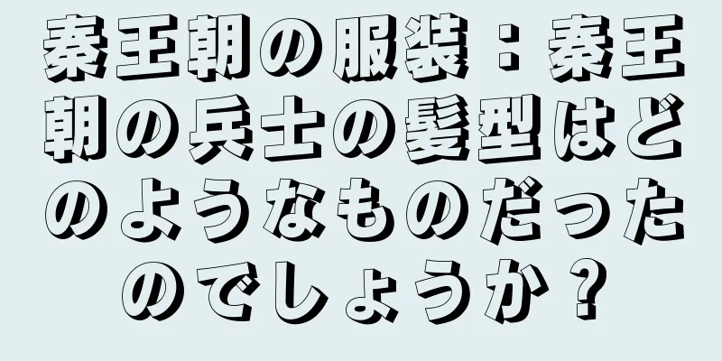 秦王朝の服装：秦王朝の兵士の髪型はどのようなものだったのでしょうか？