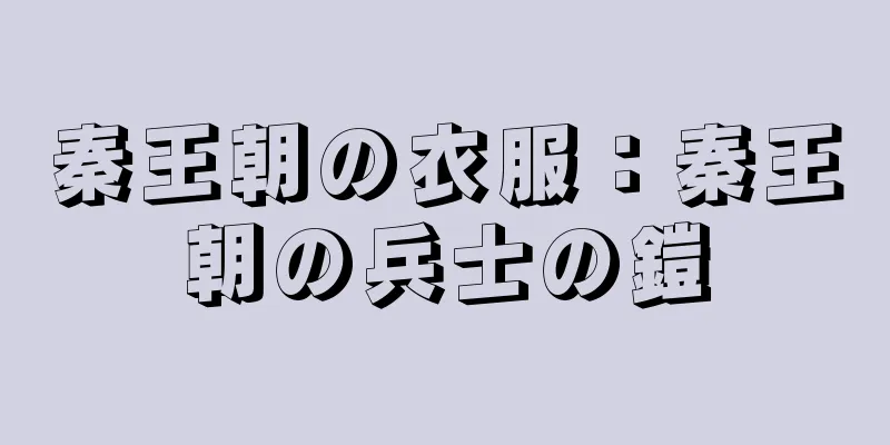 秦王朝の衣服：秦王朝の兵士の鎧