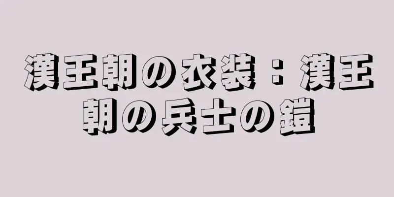 漢王朝の衣装：漢王朝の兵士の鎧