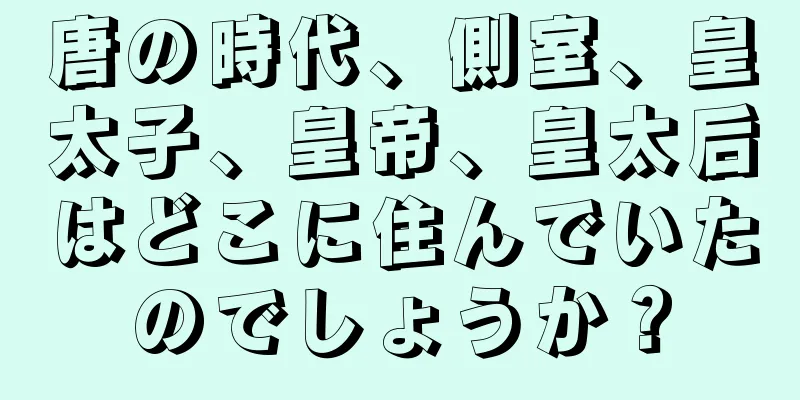 唐の時代、側室、皇太子、皇帝、皇太后はどこに住んでいたのでしょうか？