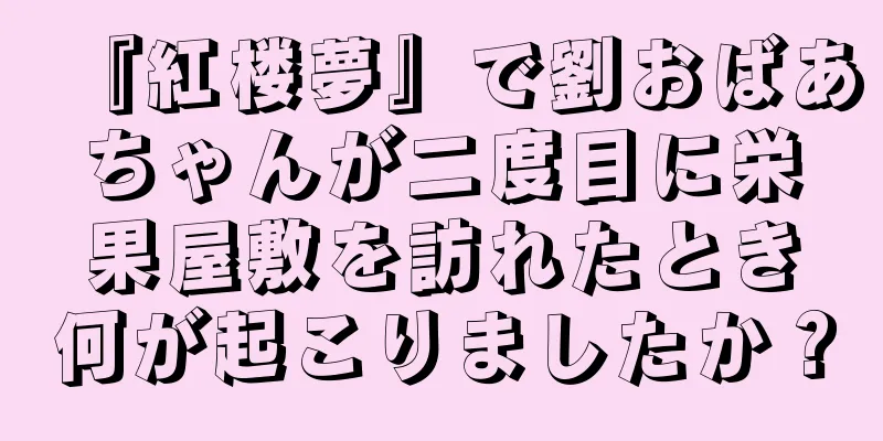 『紅楼夢』で劉おばあちゃんが二度目に栄果屋敷を訪れたとき何が起こりましたか？