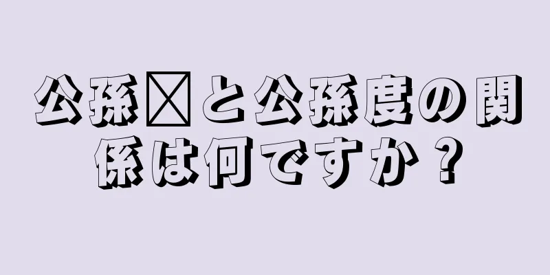 公孫瓚と公孫度の関係は何ですか？