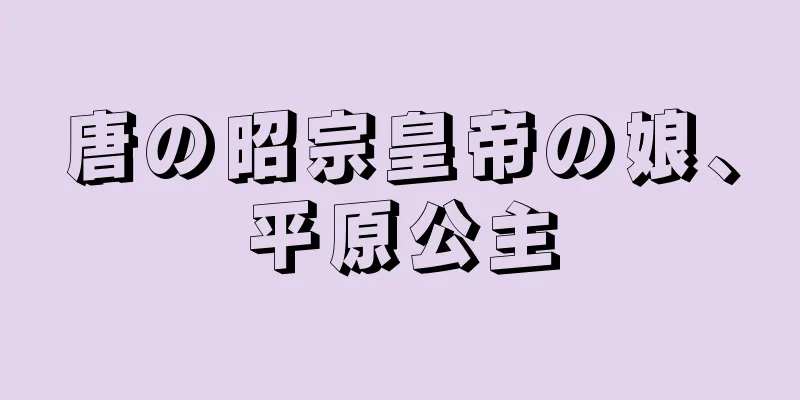 唐の昭宗皇帝の娘、平原公主