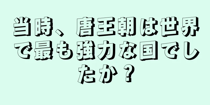 当時、唐王朝は世界で最も強力な国でしたか？