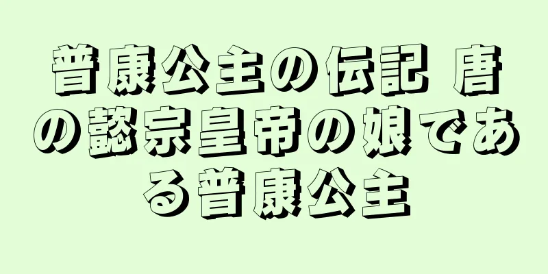 普康公主の伝記 唐の懿宗皇帝の娘である普康公主