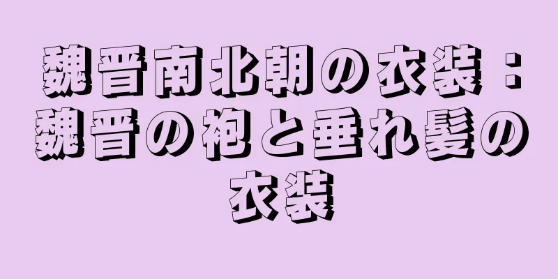 魏晋南北朝の衣装：魏晋の袍と垂れ髪の衣装