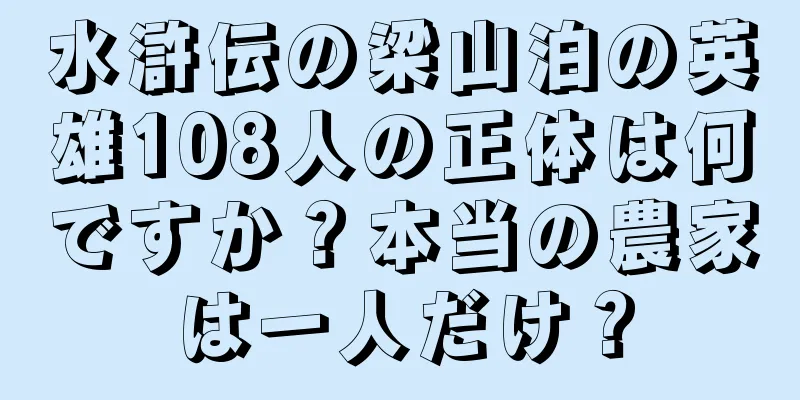 水滸伝の梁山泊の英雄108人の正体は何ですか？本当の農家は一人だけ？