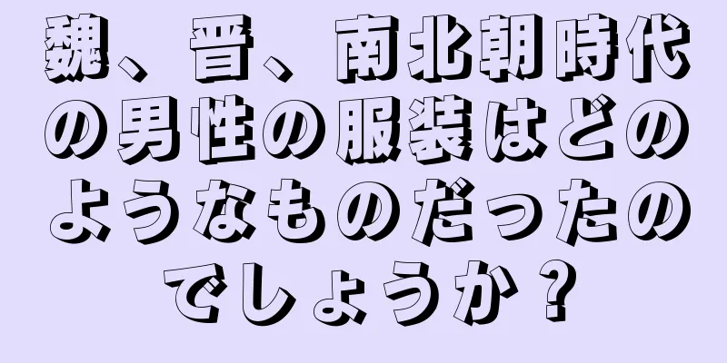 魏、晋、南北朝時代の男性の服装はどのようなものだったのでしょうか？