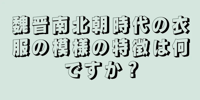 魏晋南北朝時代の衣服の模様の特徴は何ですか？