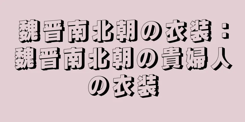 魏晋南北朝の衣装：魏晋南北朝の貴婦人の衣装