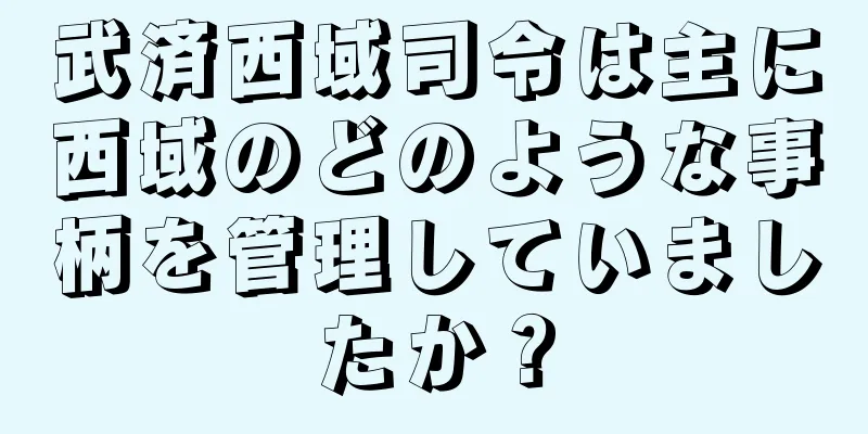 武済西域司令は主に西域のどのような事柄を管理していましたか？